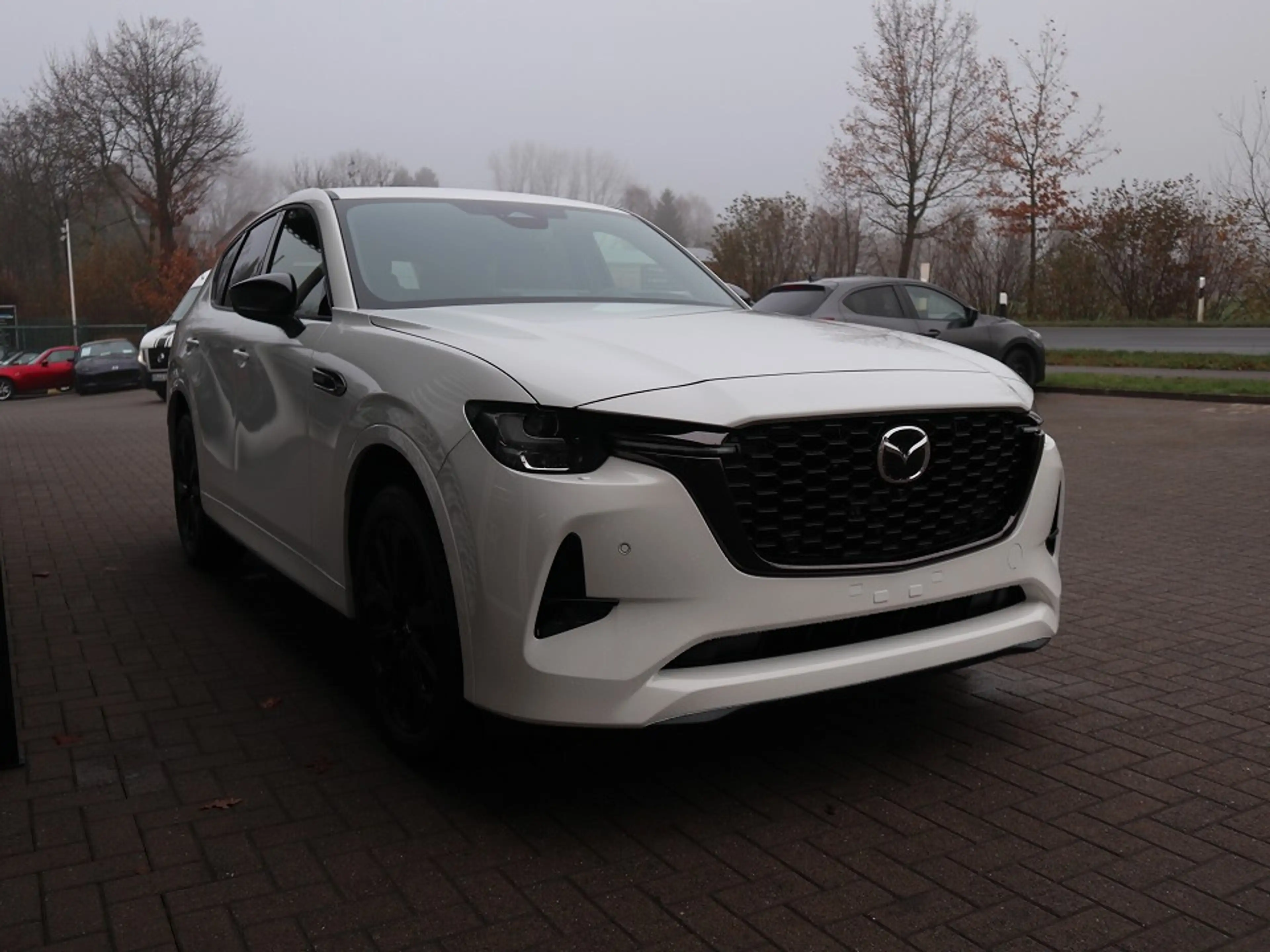 Mazda CX-60 2026 D-254 AWD AT Homura Plus PANO Leder el.Sitzv. — photo 6