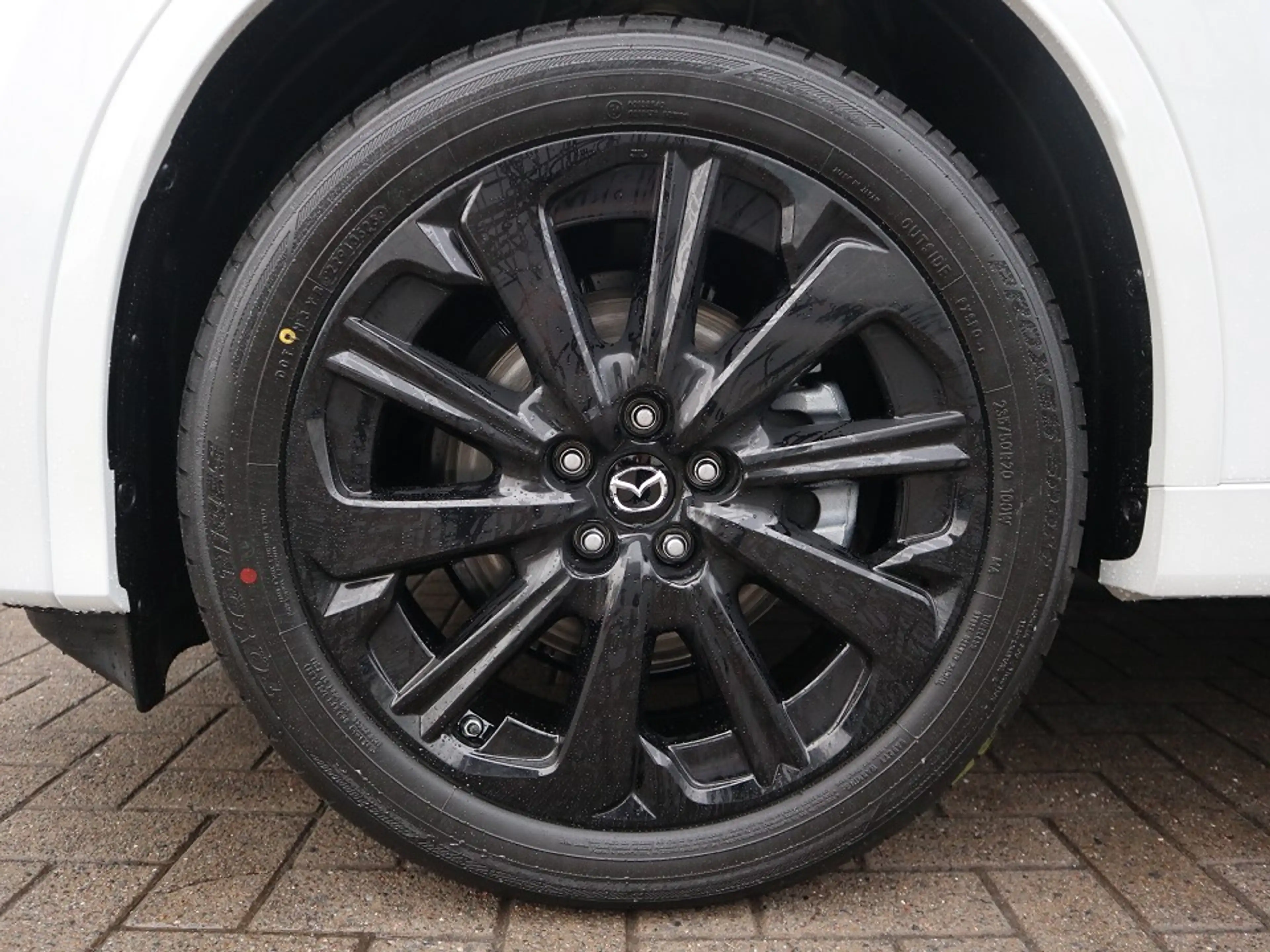 Mazda CX-60 2026 D-254 AWD AT Homura Plus PANO Leder el.Sitzv. — photo 8