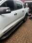 Ford Ranger Ranger Autm.Wildtrak Blanc - thumbnail 9