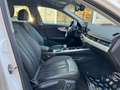 Audi A4 A4 Avant 40 2.0tdi BusinessAdvanced 190cv s-tronic White - thumbnail 9