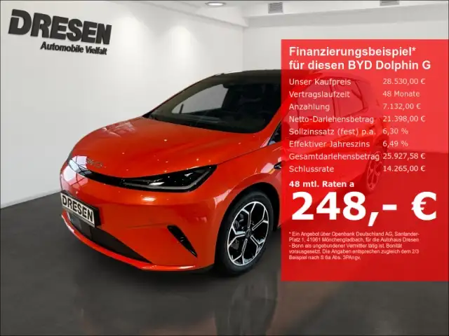 BYD Dolphin G