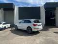 Audi Q5 Q5 V6 3.0 TDI 240 Quattro Blanc - thumbnail 5
