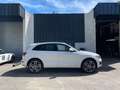 Audi Q5 Q5 V6 3.0 TDI 240 Quattro Blanc - thumbnail 3