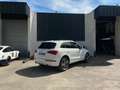 Audi Q5 Q5 V6 3.0 TDI 240 Quattro Blanc - thumbnail 4