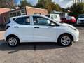 Hyundai i10 Pure, Ganzjahresreifen Weiß - thumbnail 4