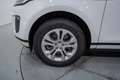 Land Rover Range Rover Evoque 2.0D I4 MHEV S AWD Aut. 163 Blanco - thumbnail 11