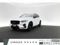Volvo XC60 2.0 Plus Black Edition AWD LED PANO 360° Weiß - thumbnail 1