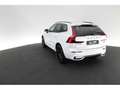 Volvo XC60 2.0 Plus Black Edition AWD LED PANO 360° Weiß - thumbnail 13