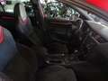 Skoda Octavia Combi RS 245 DSG Challenge Pro Xtreme Rot - thumbnail 11