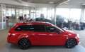 Skoda Octavia Combi RS 245 DSG Challenge Pro Xtreme Rot - thumbnail 10