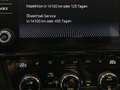 Skoda Octavia Scout 2,0 TDI 4x4 DSG LED/ACC/Navi/LaneAssist/K... Grau - thumbnail 34