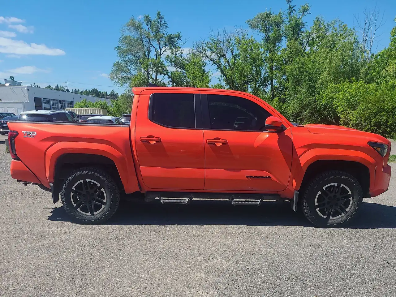 Toyota Tacoma fotografie Toyota Tacoma