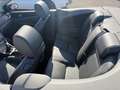 Ford Focus CC Titanium 2,0 Violett - thumbnail 13