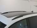 Volkswagen Tiguan Sport TDI DSG Weiß - thumbnail 3