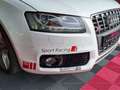 Audi S5 V6 3.0 TFSI 333cv Quattro S Tronic ~ Toit ouvrant pano ~ Finition ~ Régulateur de vitesse ~ Aide stationnement Blanc - thumbnail 42