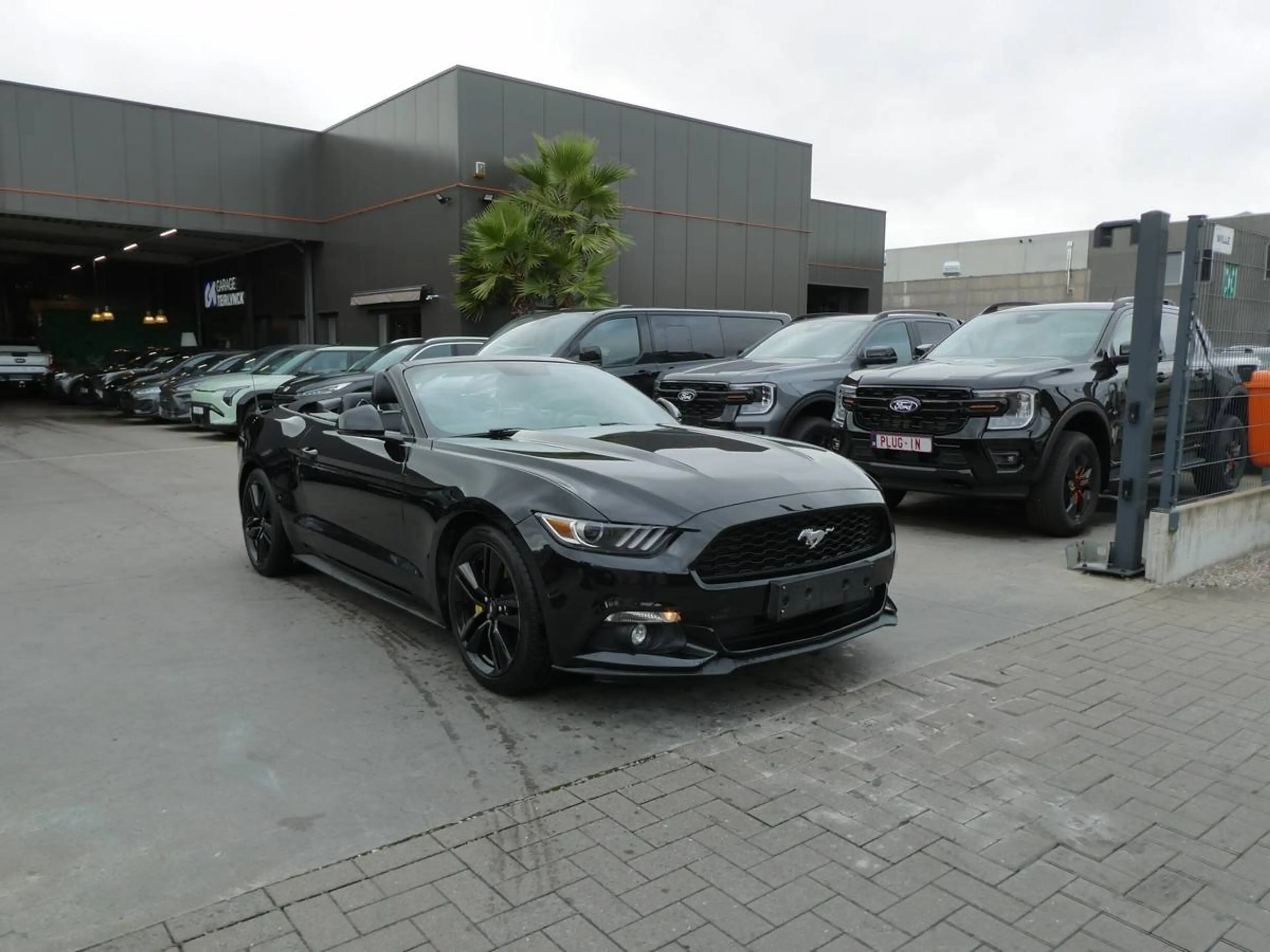 Ford Mustang Cabrio 2.3 i Ecoboost 317pk Black Edition '17 79000km (06559) — photo 6