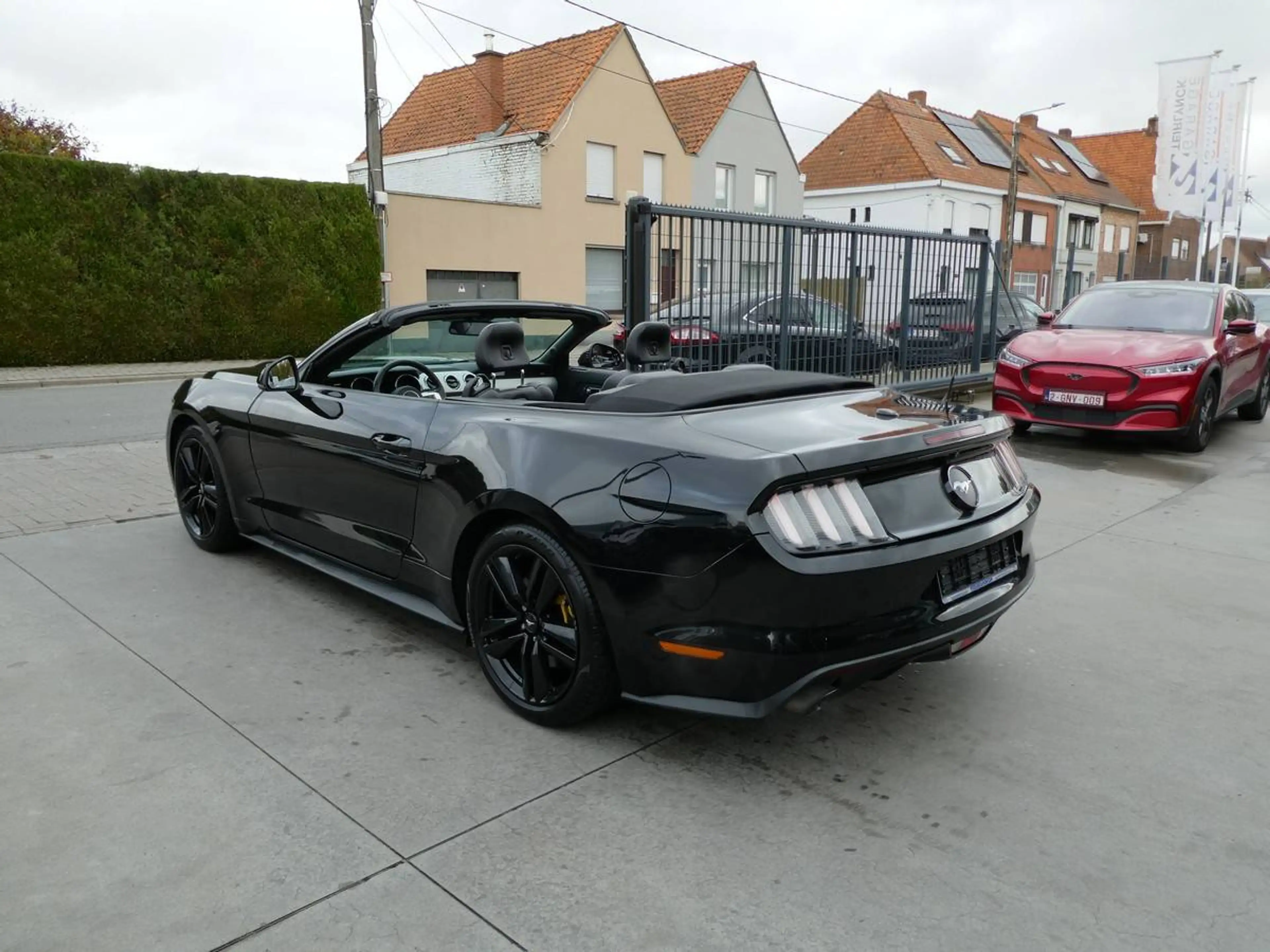 Ford Mustang Cabrio 2.3 i Ecoboost 317pk Black Edition '17 79000km (06559) — photo 3