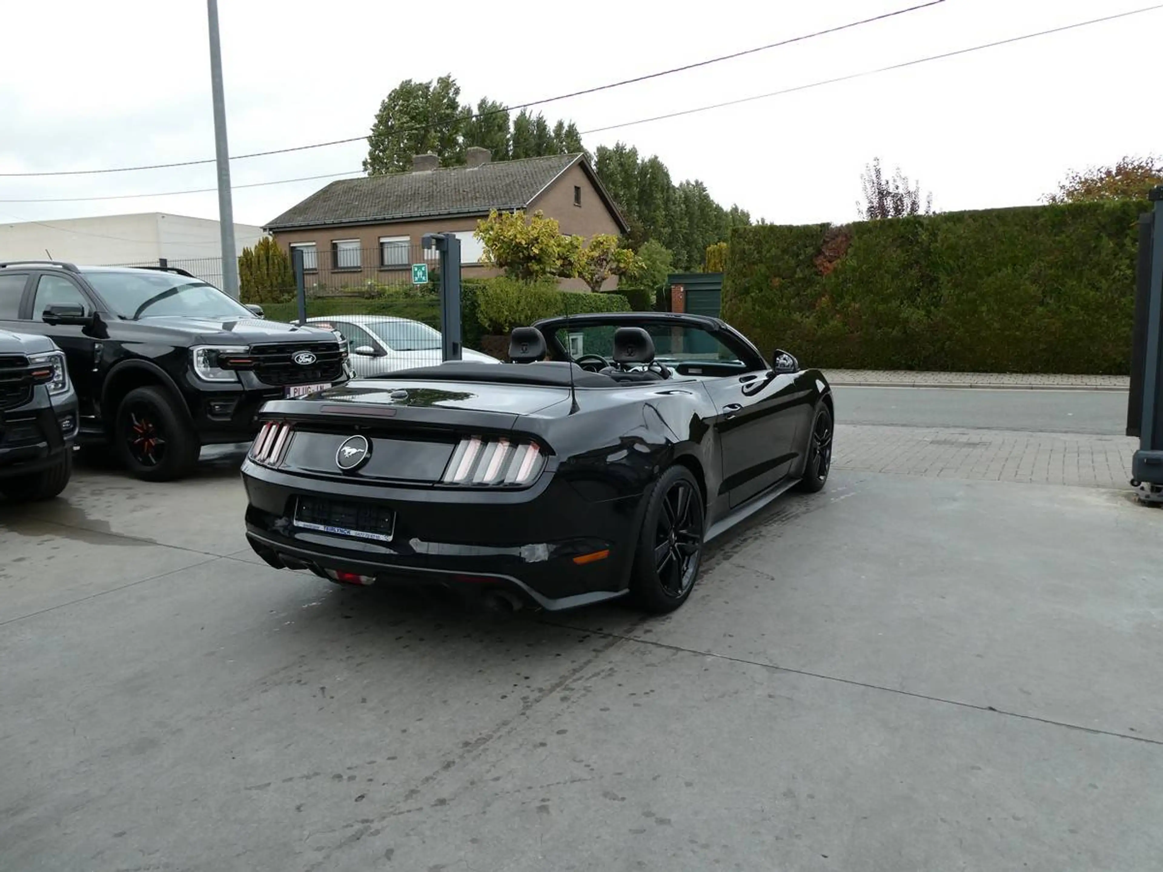 Ford Mustang Cabrio 2.3 i Ecoboost 317pk Black Edition '17 79000km (06559) — photo 5