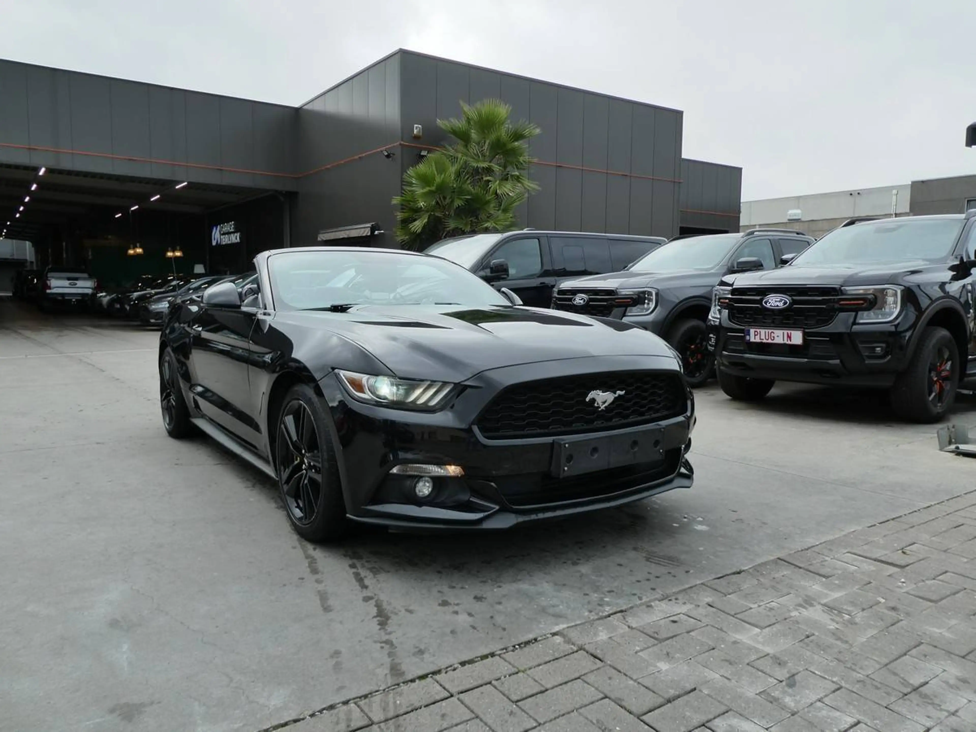 Ford Mustang Cabrio 2.3 i Ecoboost 317pk Black Edition '17 79000km (06559) — photo 8