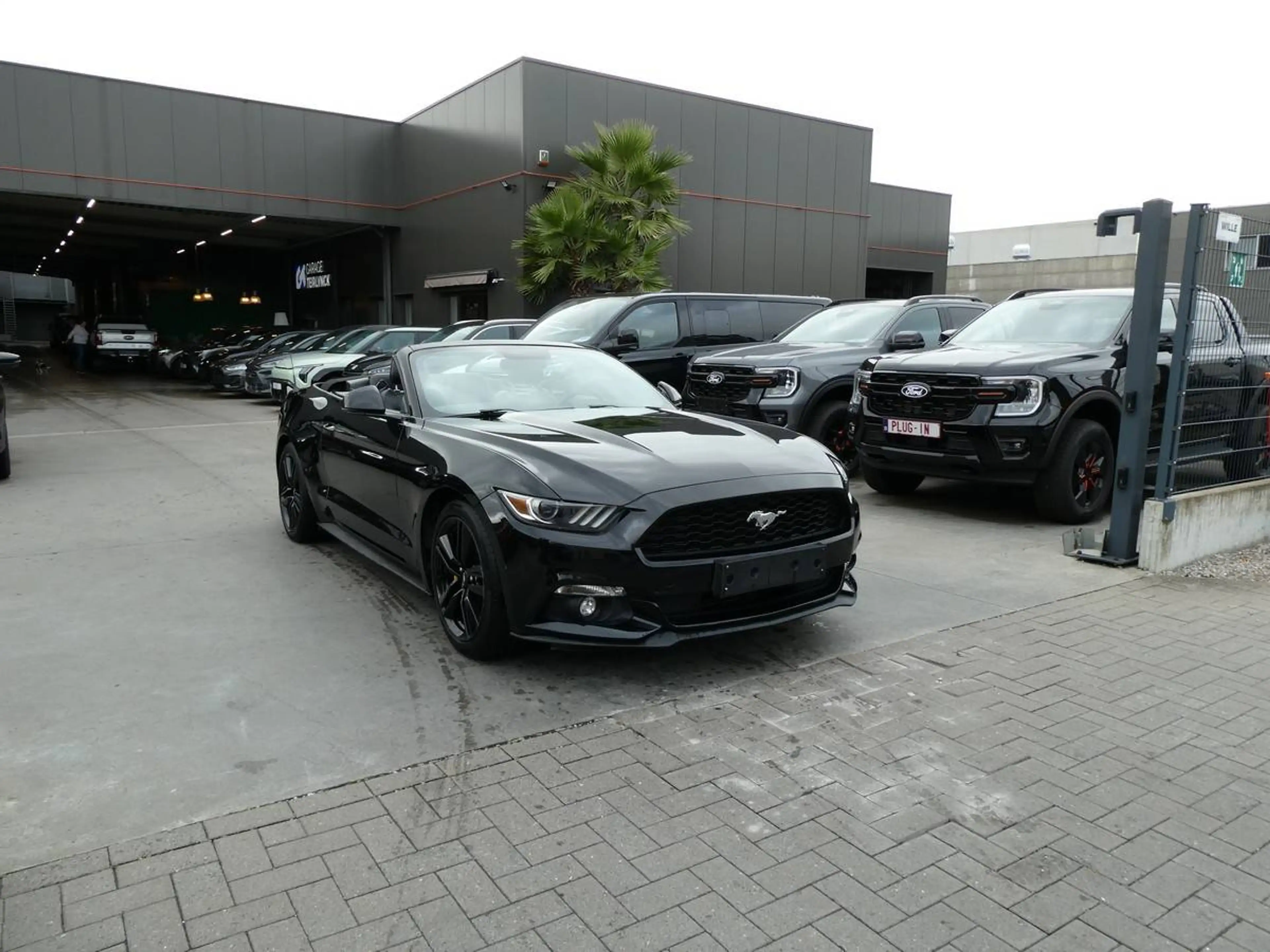 Ford Mustang Cabrio 2.3 i Ecoboost 317pk Black Edition '17 79000km (06559) — photo 7