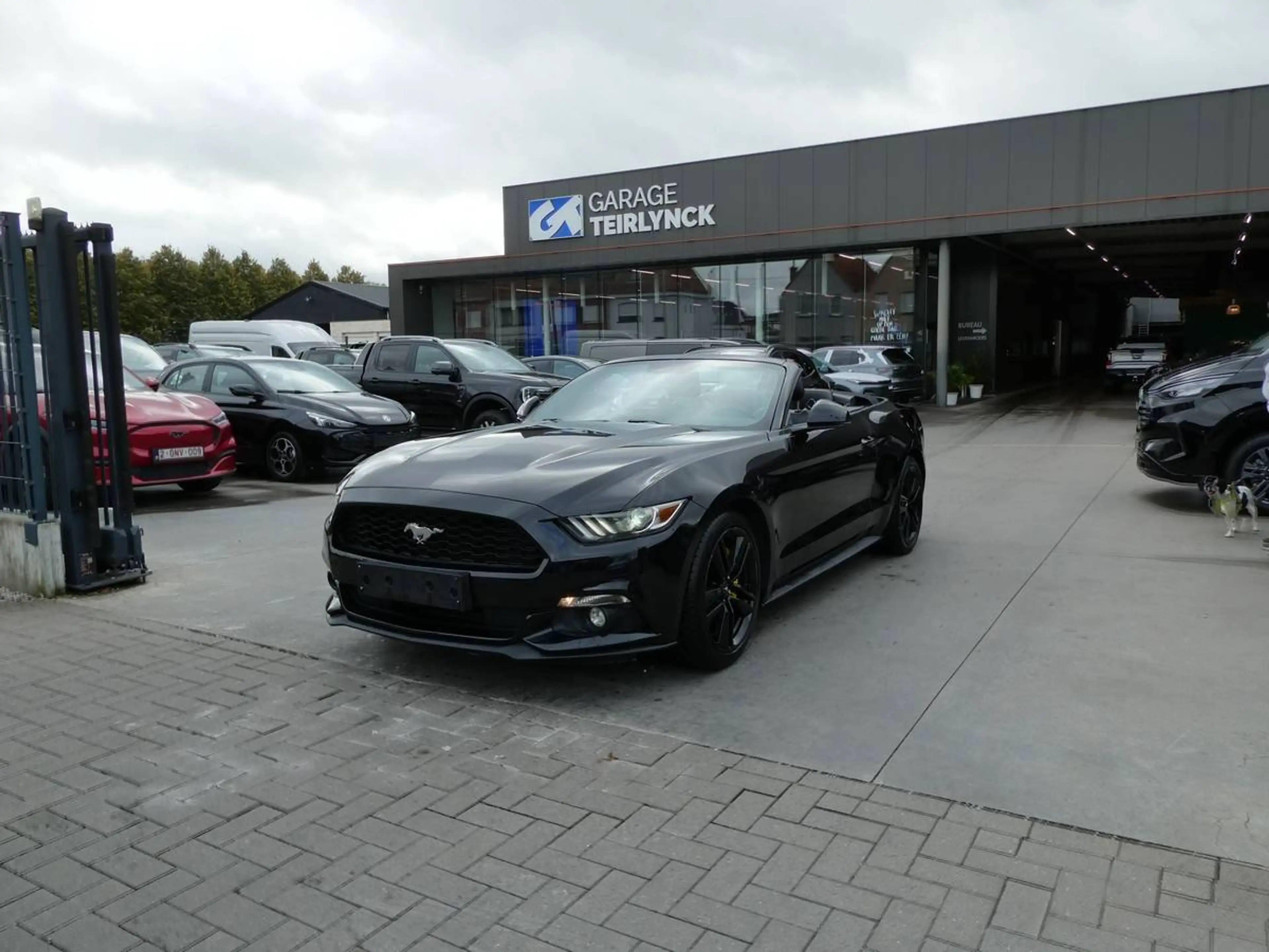 Ford Mustang Cabrio 2.3 i Ecoboost 317pk Black Edition '17 79000km (06559) — photo 2