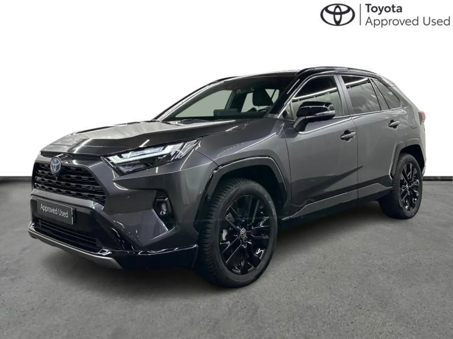 Toyota RAV 4 Style Plus 2WD Gris - 1