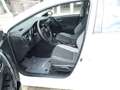 Toyota Auris 1.2 Comfort Weiß - thumbnail 11