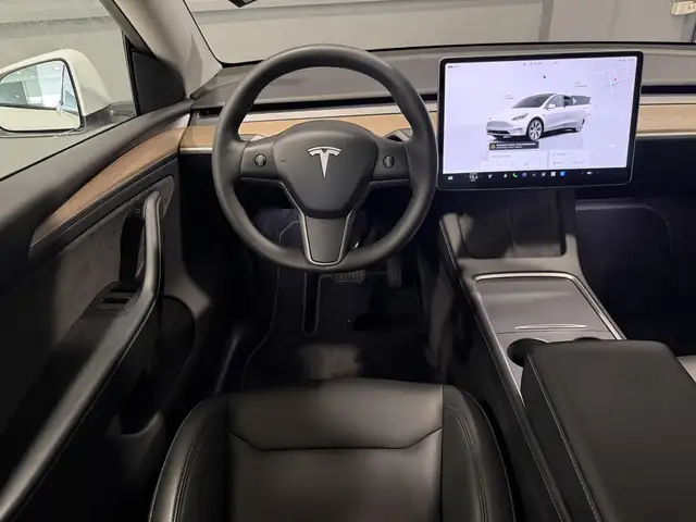 Tesla Model Y view 6