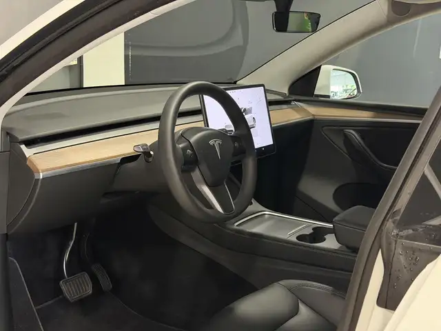Tesla Model Y view 10