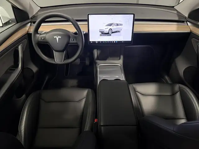 Tesla Model Y view 12