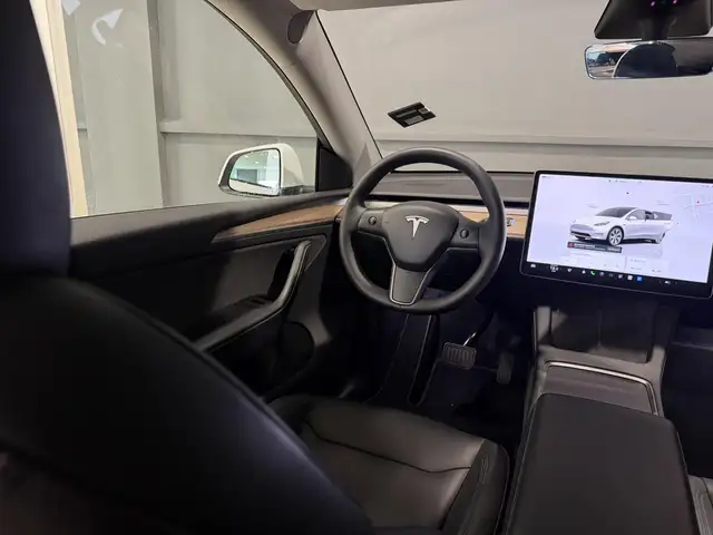Tesla Model Y view 8