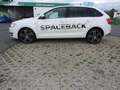 Skoda Rapid/Spaceback Spaceback 1,6 TDI Ambition Green tec Weiß - thumbnail 3