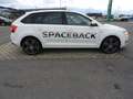 Skoda Rapid/Spaceback Spaceback 1,6 TDI Ambition Green tec Weiß - thumbnail 15