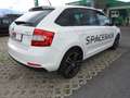 Skoda Rapid/Spaceback Spaceback 1,6 TDI Ambition Green tec Weiß - thumbnail 14