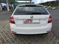 Skoda Rapid/Spaceback Spaceback 1,6 TDI Ambition Green tec Weiß - thumbnail 7