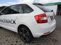 Skoda Rapid/Spaceback Spaceback 1,6 TDI Ambition Green tec Weiß - thumbnail 19