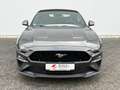 Ford Mustang 5.0VVT-i GT Convertible 55 YEARS DT. FZG Grau - thumbnail 2