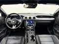 Ford Mustang 5.0VVT-i GT Convertible 55 YEARS DT. FZG Grau - thumbnail 14
