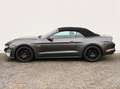 Ford Mustang 5.0VVT-i GT Convertible 55 YEARS DT. FZG Grau - thumbnail 6