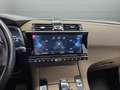 DS Automobiles DS 7 Crossback 1.5BlueHDi Bastille + Aut. Grau - thumbnail 18
