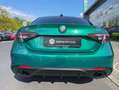 Alfa Romeo Giulia 2.0 Turbo 16V AT8-Q4 Tributo Italiano Verde - thumbnail 15
