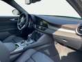 Alfa Romeo Giulia 2.0 Turbo 16V AT8-Q4 Tributo Italiano Verde - thumbnail 10