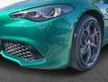 Alfa Romeo Giulia 2.0 Turbo 16V AT8-Q4 Tributo Italiano Verde - thumbnail 5