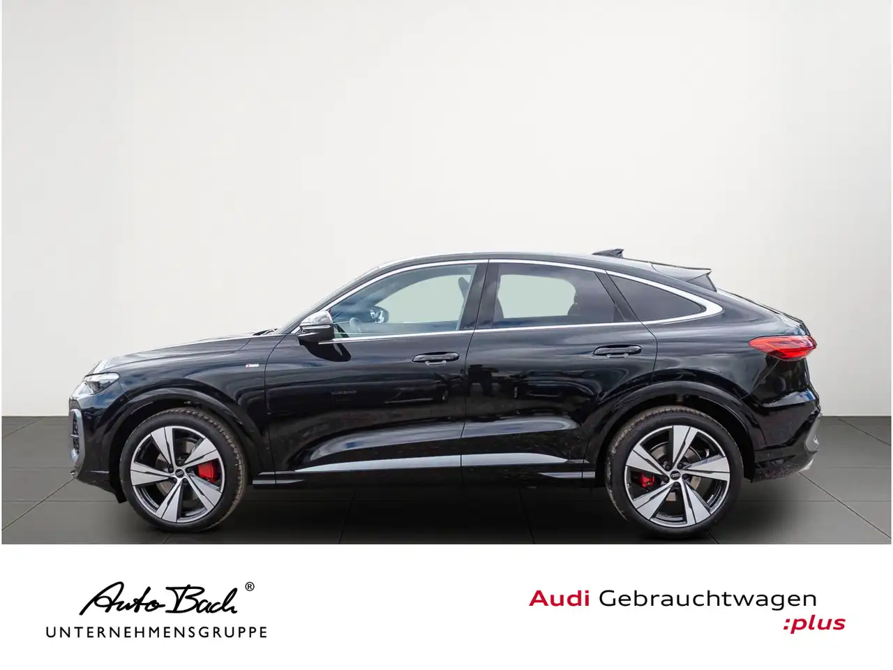 Audi Q5 S-Line TDI qu Luftfederung Standhzg 4