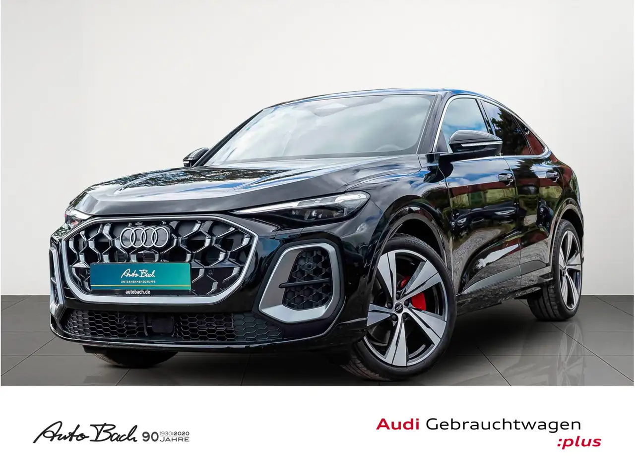 Audi Q5 S-Line TDI qu Luftfederung Standhzg