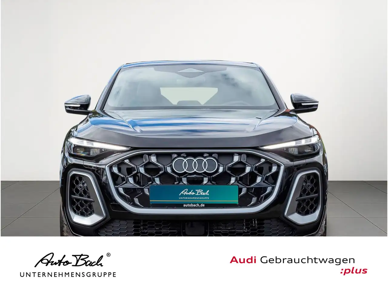 Audi Q5 S-Line TDI qu Luftfederung Standhzg 3