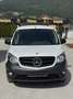 Mercedes-Benz Citan Kastenwagen 109 CDI lang // PICKERL NEU /... Weiß - thumbnail 9