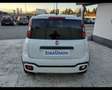 Fiat New Panda 1.0 FireFly Hybrid Blanco - thumbnail 10