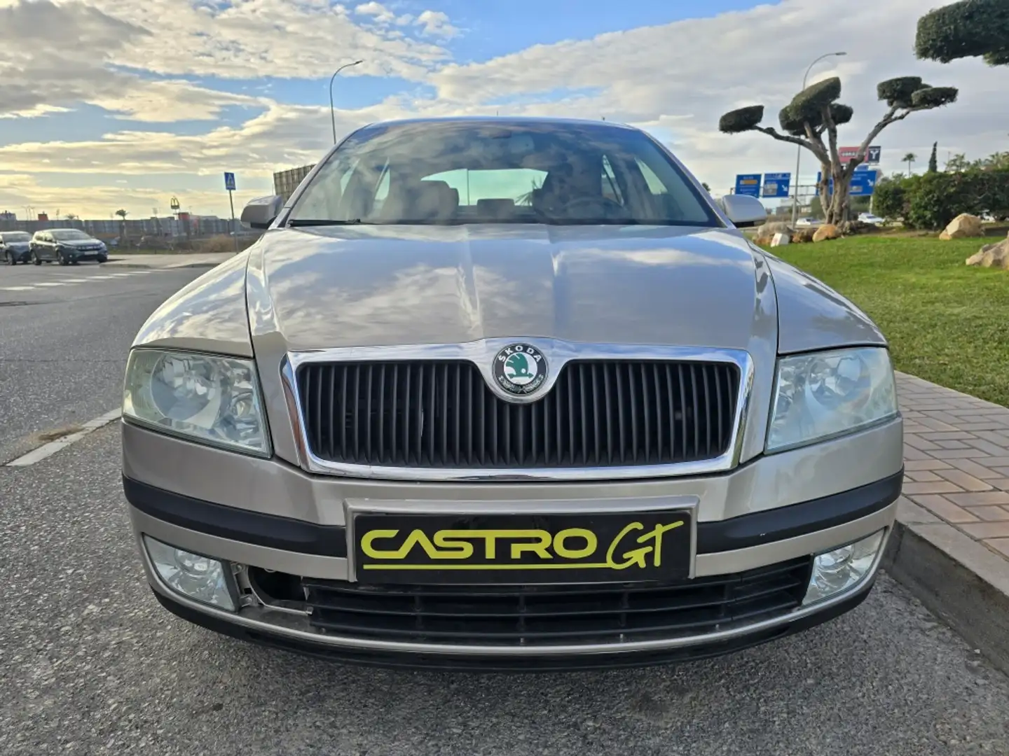 Skoda Octavia 2.0TDI Elegance Beige - 2