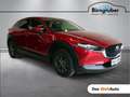 Mazda CX-30 G122 Comfort+ Aut. Rot - thumbnail 1